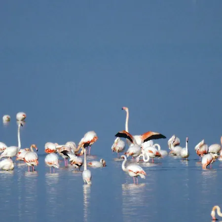 2c Vila Llido Degli Estensi